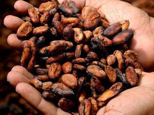 Pox cacao botella de 750ml